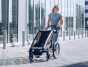 Thule Chariot Lite 1 Agave