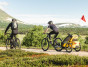 Thule Chariot Sport 2 Spectra Yellow + bike set + kočárkový set + běžecký set