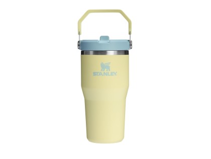 STANLEY Tumbler se slámkou/brčkem 600 ml Pomelo
