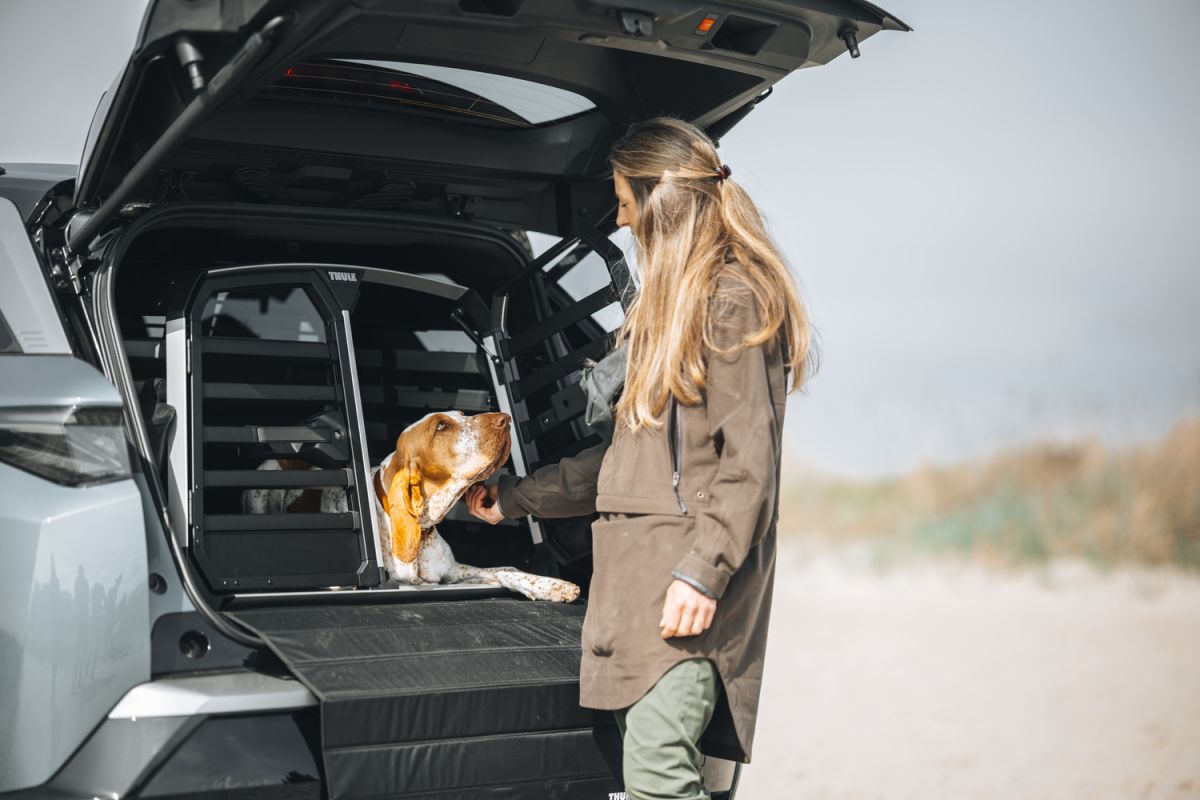 Náhled produktu - Thule Allax - přepravní klec pro psy L Compact - DOUBLE