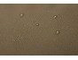Thule Chasm Carry-on roller 55cm/22in TCCO222 - Deep Khaki
