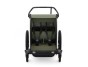 Thule Chariot Lite DOUBLE Vintage Green
